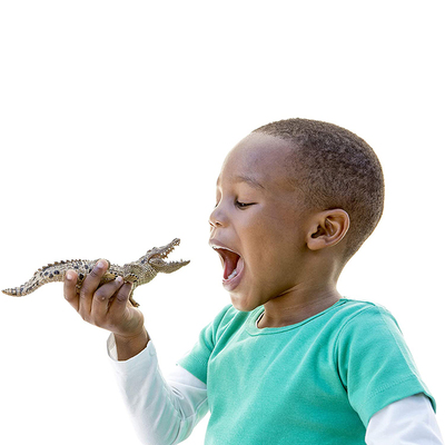 德国仿真塑胶模型野生动物