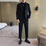 轻熟风百搭加厚羊毛面料修身双扣休闲西服御寒西装DXZ911/P190，男装西服套装，电商A428