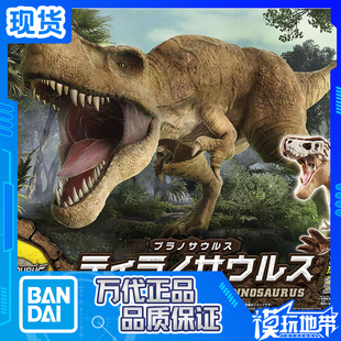 现货 万代 新恐龙 01 霸王龙 暴龙 含骨架 化石 新版 拼装 模型