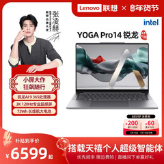 【*轻奢本】联想YOGA Pro14 AI元启锐龙AI 9 365 14.5英寸3K屏轻薄本笔记本电脑 高端商务办公笔记本电脑