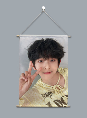 陈浚铭应援TF家族周边布艺挂画