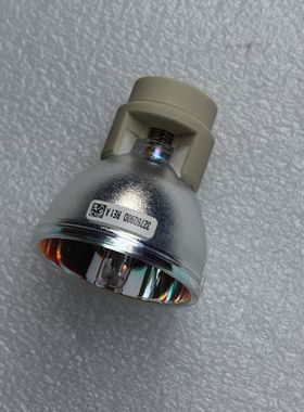 丽讯 D791ST/D795WT/D851/D850/VIP220 投影灯泡