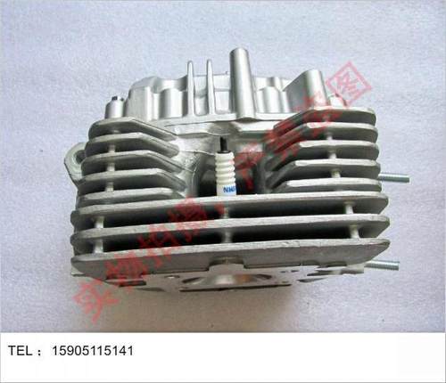 适用嘉陵摩托金悍独狼凸轮轴气门