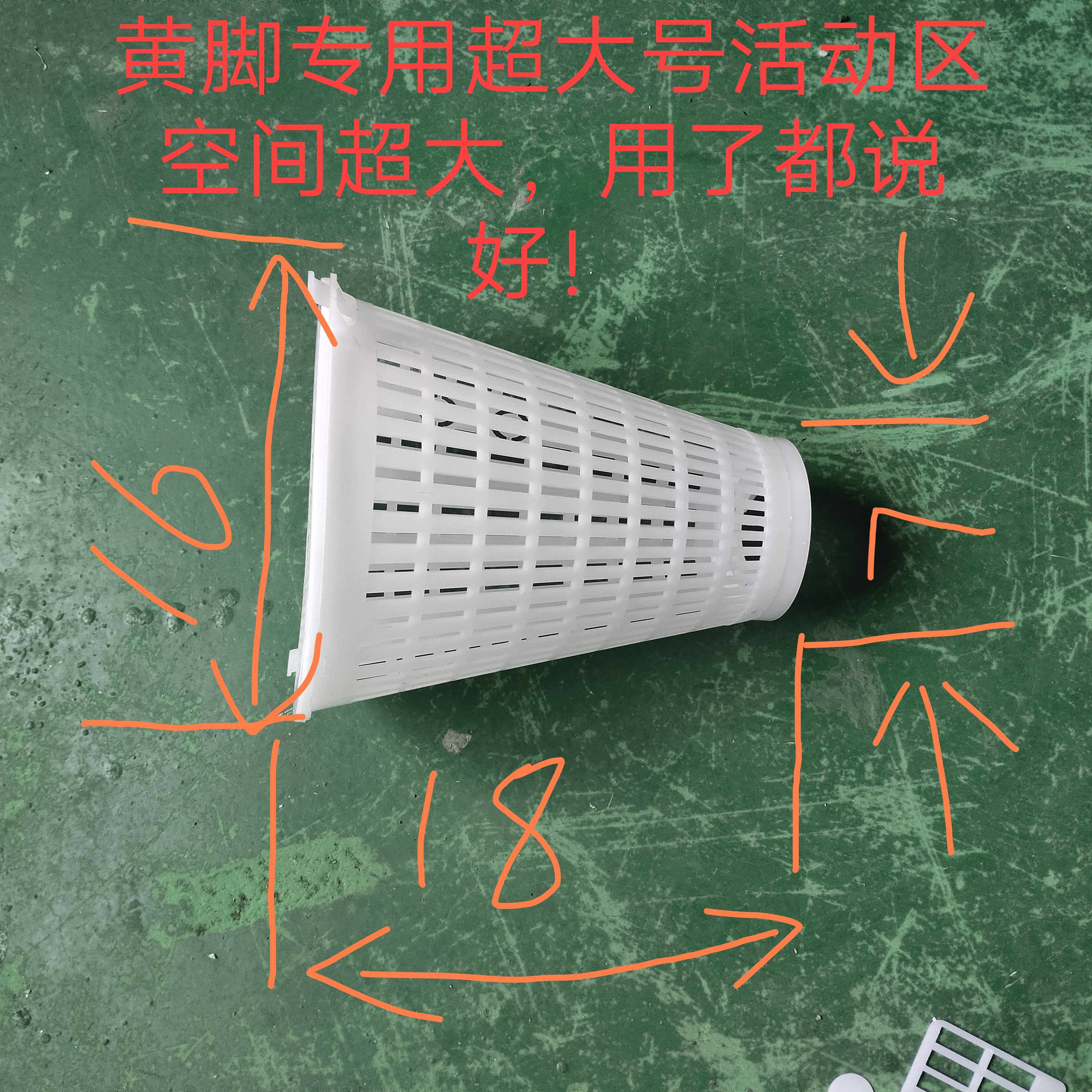 黄脚活动区胡蜂活动区喂食笼七里黑盾大号胡蜂养殖活动区8件套