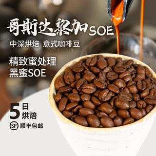 木焱 哥斯达黎加SOE 黑蜜处理 水果甜感 新鲜 5日中深烘焙 咖啡豆