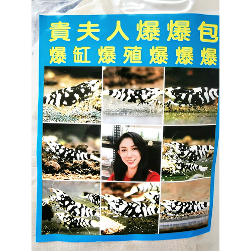 开缸维护卤包菌包提高幼虾成活率