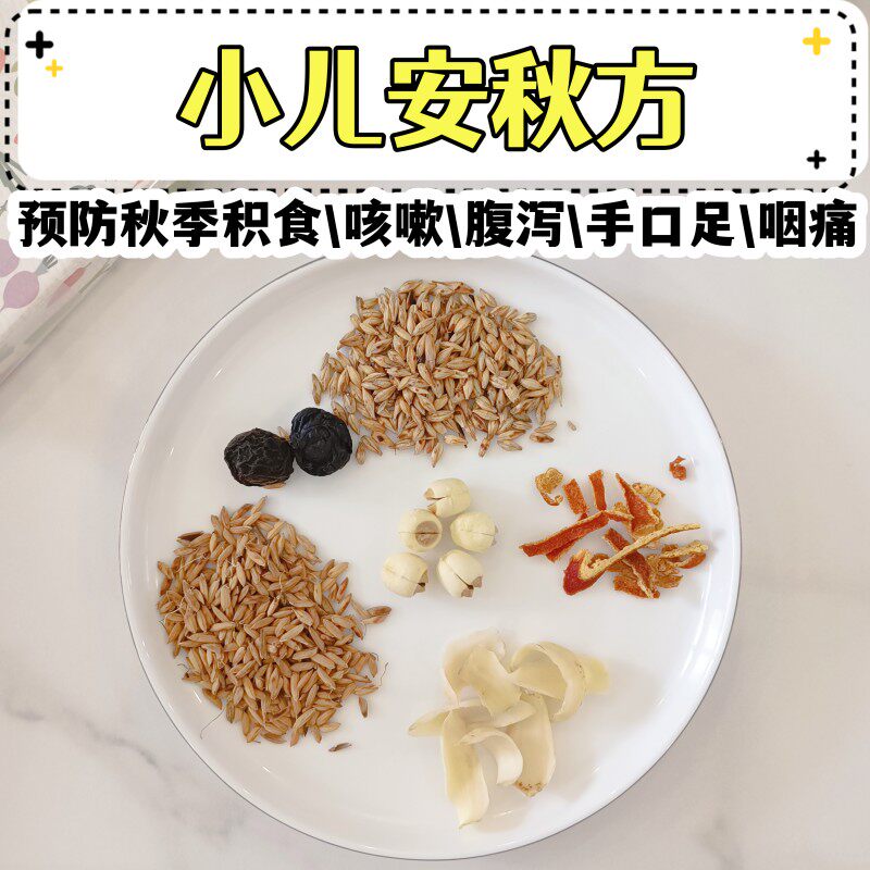 许教授小儿安秋方儿童食疗秋季养生汤包材料包积食易感多咳适用
