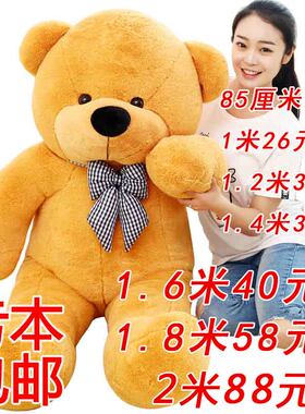 公仔抱抱熊嘻迷宝贝毛绒玩具