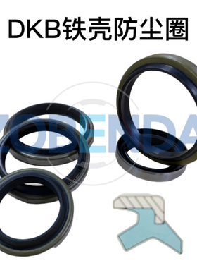 *NAK SOG外铁壳骨架防尘圈DKB140 DKB150 DKB160 180 175