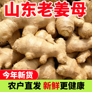 产地直发老姜新鲜黄姜大姜风干姜月子姜生姜块老姜母现挖3斤包邮