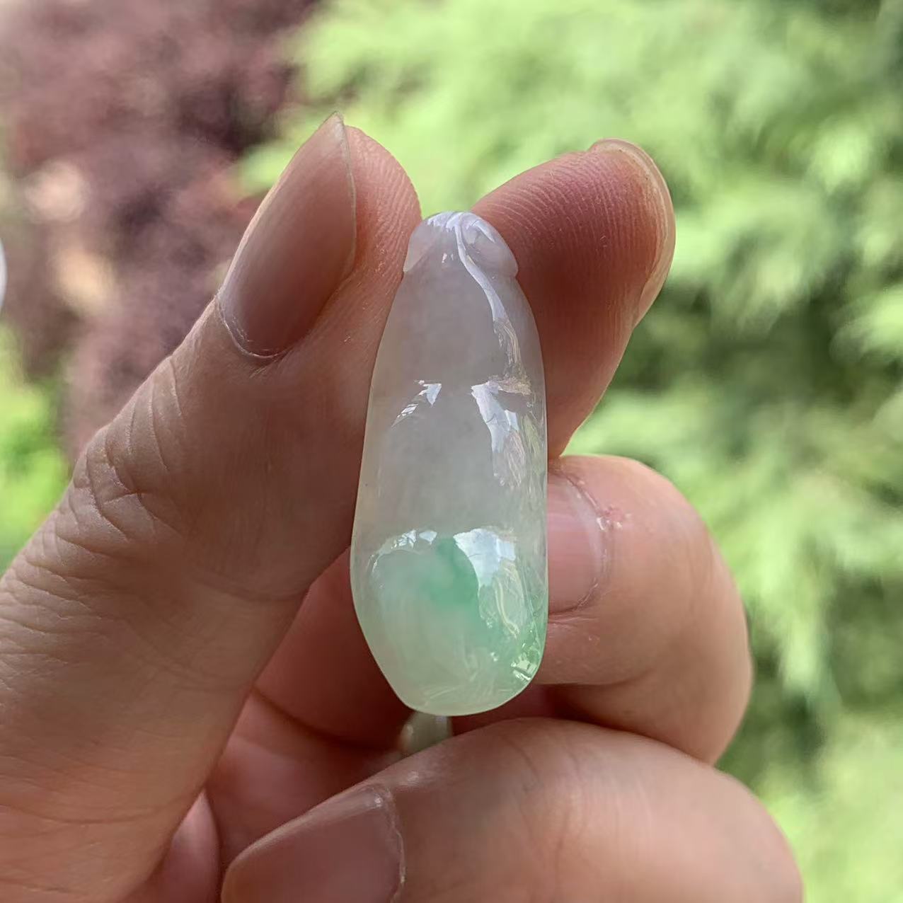 缅甸A货翡翠白底青飘花四季豆