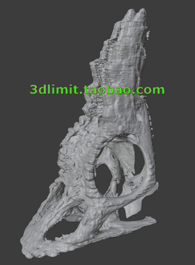 3D打印扫描DICOM dcm NIfTI nii CT医学数据转换模型stl obj gltf