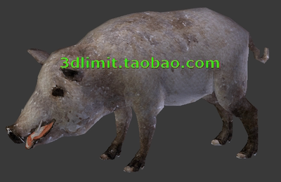 野猪模型obj格式带贴图适用于3dMax C4D 犀牛rhino Maya sketchup