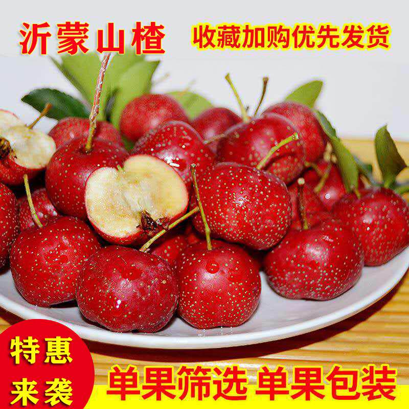 山楂果新鲜水果特级大果糖葫芦原料自然成熟山里红果大金星大五棱