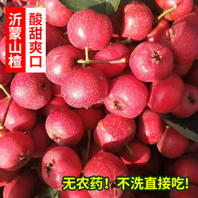 新鲜山楂糖葫芦无添加水果