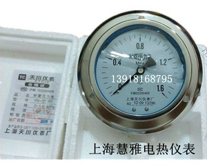 。耐震压力表YN-100ZT轴向带边压力表0-1/1.6/2.5/4/6MPA 上海天