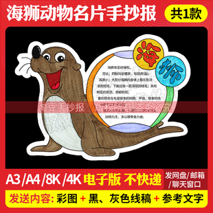 海狮动物名片手抄报模板珍稀动物保护日异形卡电子版线稿涂色777