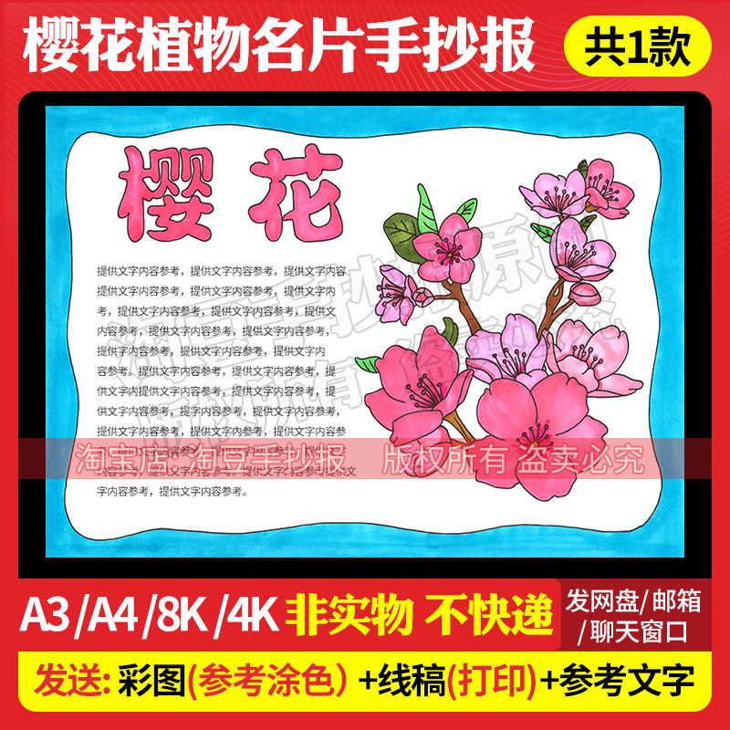 樱花手抄报模板植物成长名片观察日记小报电子版线稿打印涂色535