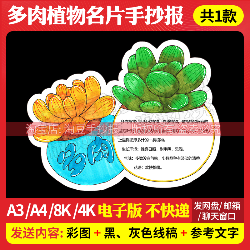 多肉植物名片记录卡手抄报模板观察介绍日记异形卡电子版线稿779
