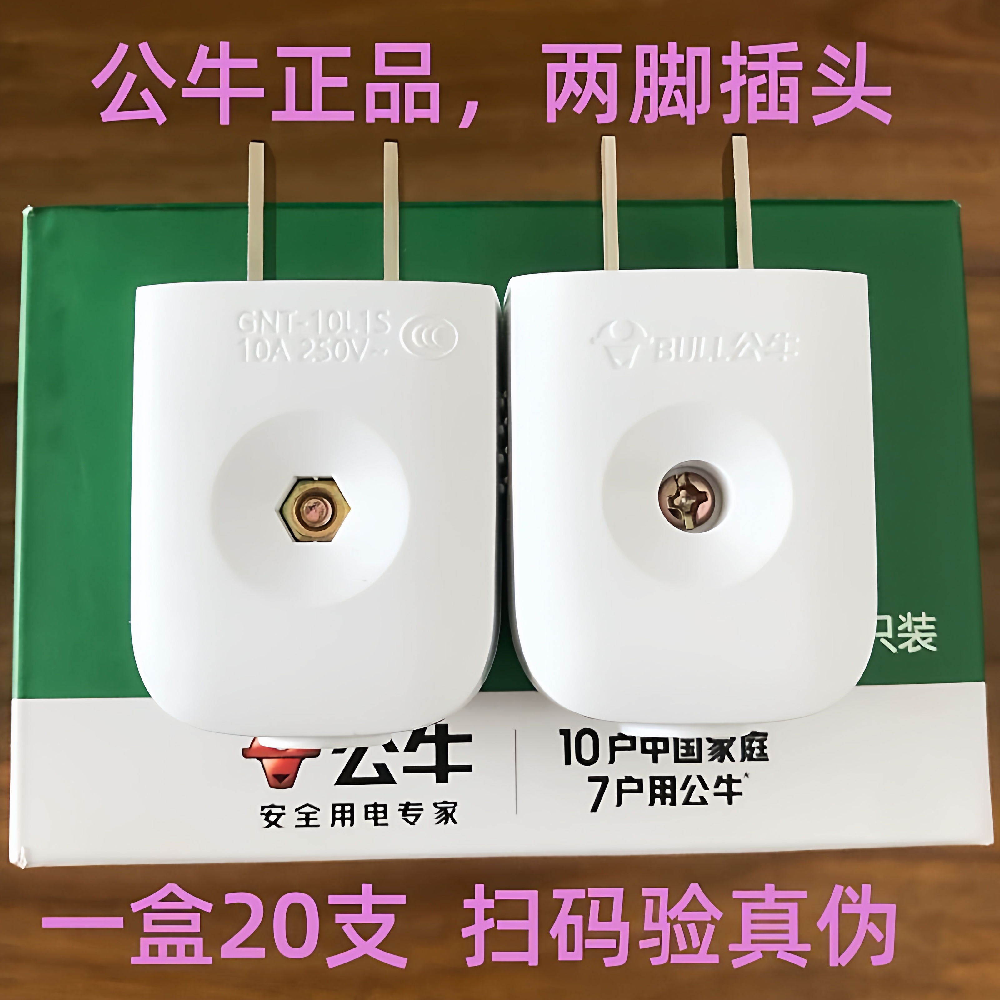 Y1012GNT-10L1S二脚10A插头