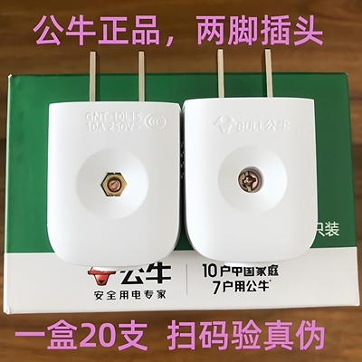 Y1012GNT-10L1S二脚10A插头