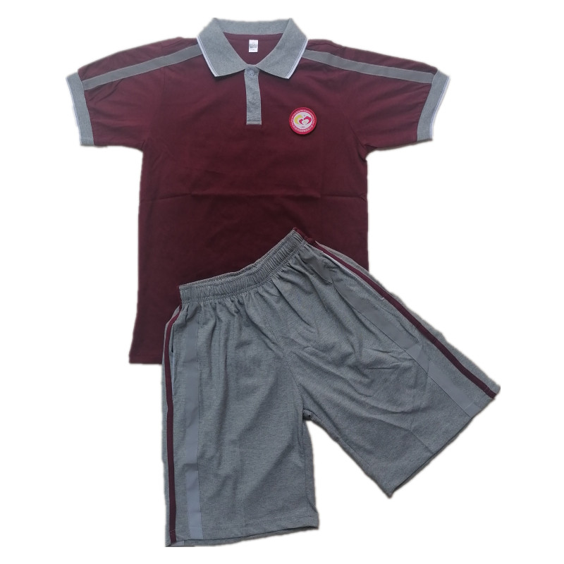 凤岗镇田中心实验小学校服短袖