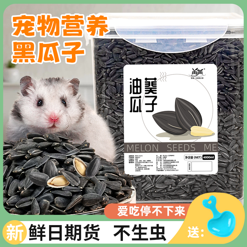 鼠鼠爱吃大份量饱满新鲜油葵瓜子