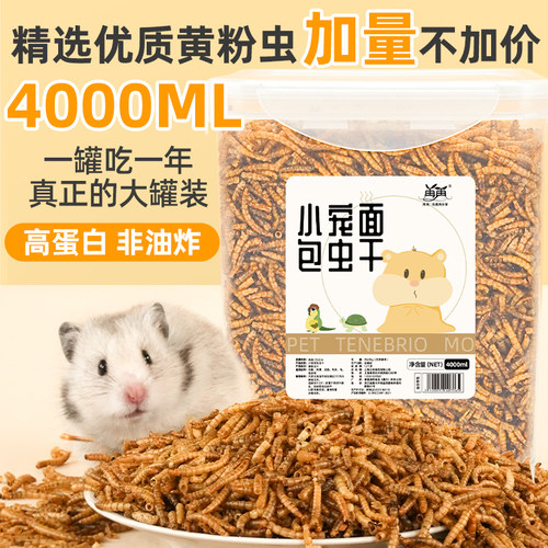 好吃不上火！仓鼠面包虫干饲料