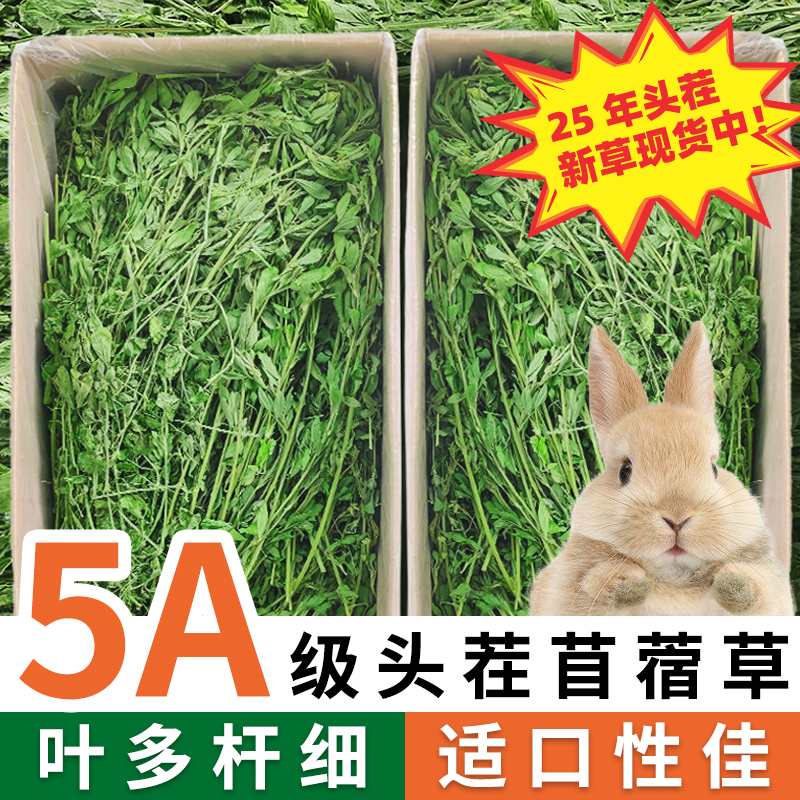苜蓿草兔子粮草紫花干草幼兔食用豚鼠吃的粮食苜宿小麦草兔粮饲料
