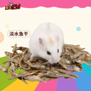 仓鼠粮食小鱼干河水无盐天然小鱼干高蛋白25g
