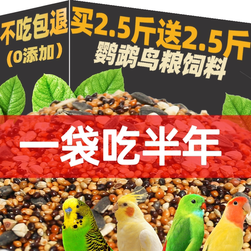 新鲜饱满！新带壳鹦鹉混合营养粮