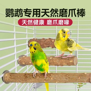鹦鹉站杆用品大全花椒木磨牙棒鸟笼配件磨爪嘴虎皮牡丹玄凤鸟站棍