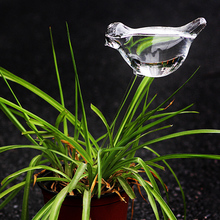 Bougie - Ref 2487233 Image 15