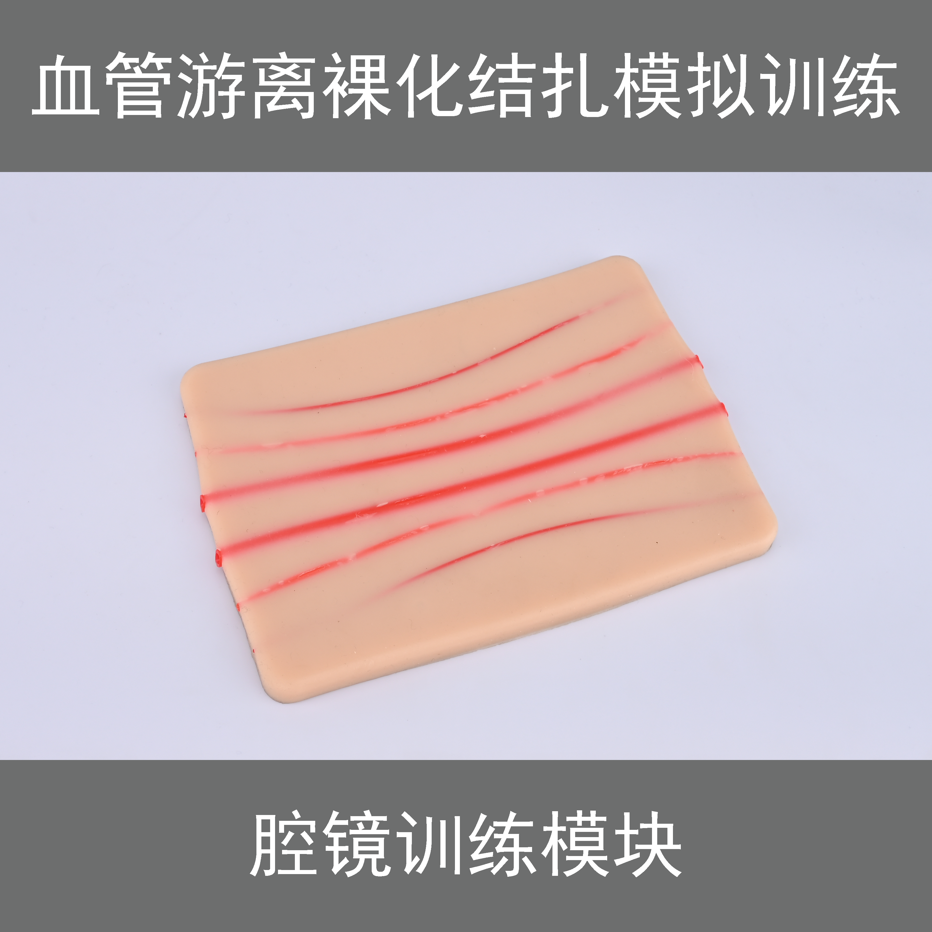 腹腔镜训练模块血管游离裸化结扎教学标本/模型