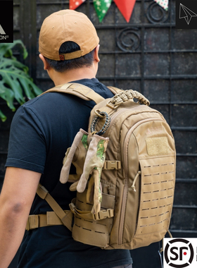 DA强袭者赫利肯尘埃战术户外EDC背包20L通勤DUST登山包龙蛋双肩包