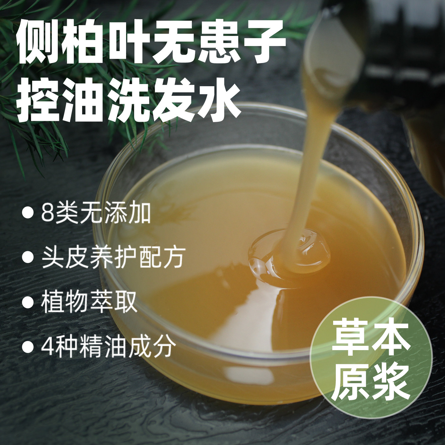 花初夏侧柏叶无患子皂角中药香控油洗发水茶树精油蓬松无硅油