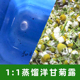 德国洋甘菊纯露花水500ml痘痘湿敷水膜发红血丝晒后养护补水保湿