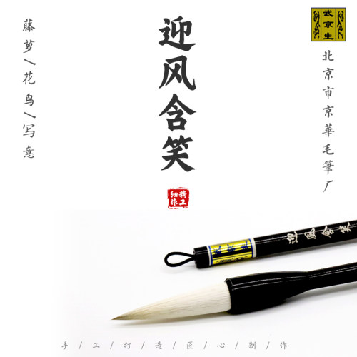 迎风含笑徐湛京华牡丹藤萝国画