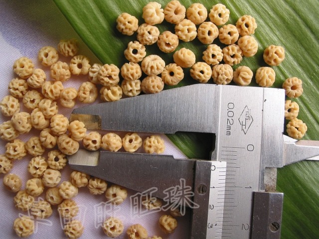 diy原籽如意天意散珠菩提籽种