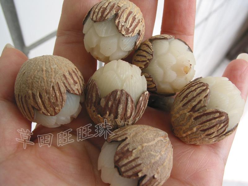 diy菩提根雕莲花散珠菩提籽种