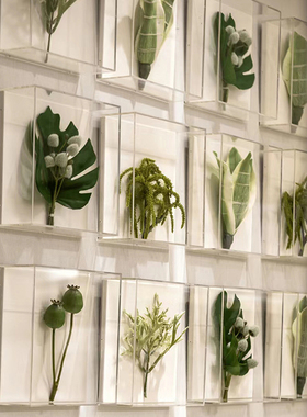 创意ins风景植物森林网红灯箱商业标本放置外摆仿真植物亚克力灯