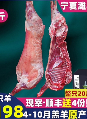 宁夏滩羊肉整只羊新鲜烤全羊羊羔肉半只羊腿羊排非新疆盐池内蒙古