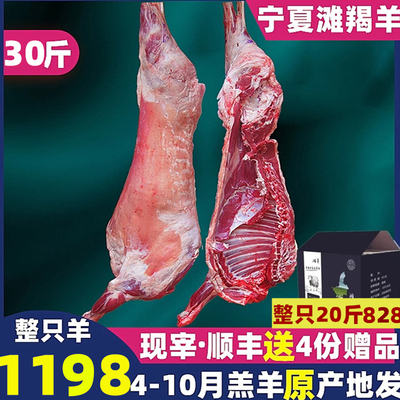 宁夏滩羊肉整只羊30斤新鲜现宰