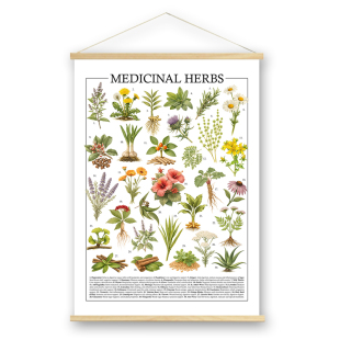 药用草本植物科普海报复古风草药图鉴挂画医学科教药店客厅装饰画