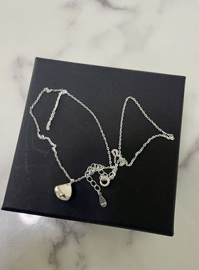 ZHAZHA韩国新款时尚简约百搭款实心吊坠项链女小众925银潮 锁骨链