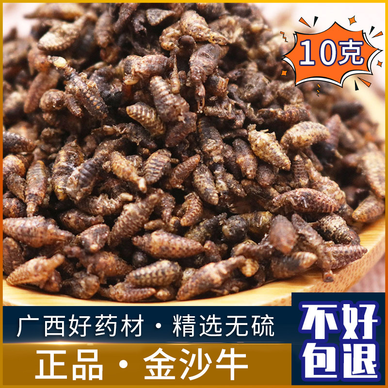 金沙牛10g克中草药材地牯牛蚁狮