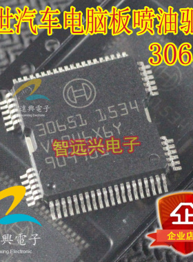 30651适用大众朗逸迈腾汽车车身发动机电脑板 喷油驱动模块IC芯片