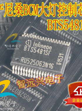 BTS5481SF 适用于尼桑汽车BCM大灯控制控制芯片 主营汽车电脑芯片