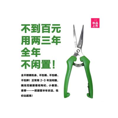 2025花椒收摘神器，剪花椒的工具叫什么，剪花椒的工具有哪些花椒