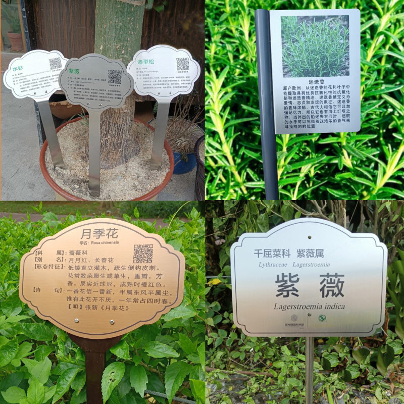 不锈钢树牌定制古树牌金属腐蚀植物花卉牌树木介绍插地提示花草牌